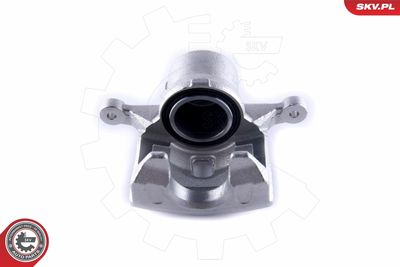 Brake Caliper 55SKV271