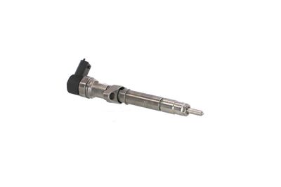 INJECTOR REMANTE 002003001033R 50