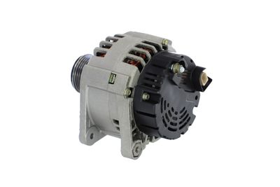 GENERATOR / ALTERNATOR REMANTE 011003000122R 19