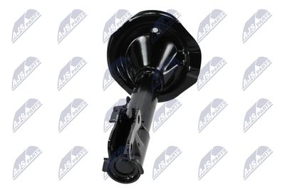 AMORTIZOR NTY ACT051 17