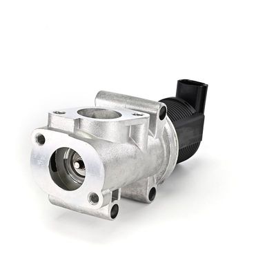 AGR-VENTIL DELPHI EG1040312B1 11