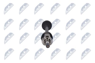 PLANETARA NTY NPWCT163 33