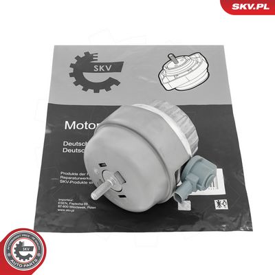 Variklio montavimas SKV GERMANY 75SKV212