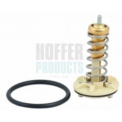 TERMOSTAT LICHID RACIRE