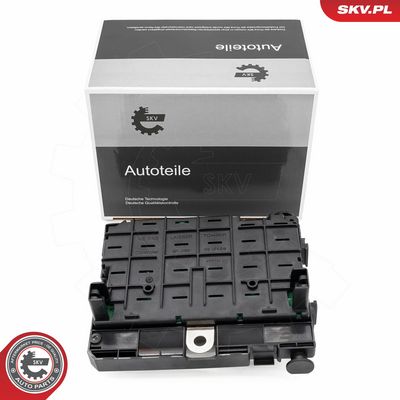 Steuergerät, Motormanagement ESEN SKV 96SKV321