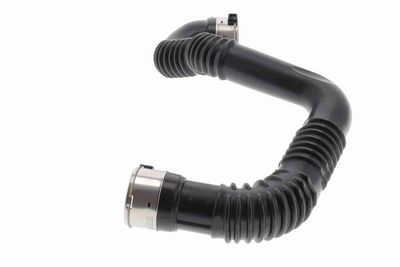 FURTUN EAR SUPRAALIMENTARE ACKOJA A380618 4