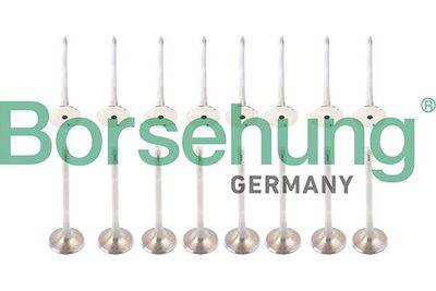 SET SUPAPE SUPAPă ADMISIE/EVACUARE Borsehung B13402