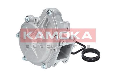 Water Pump, engine cooling T0049