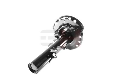 AMORTIZOR GH GH354817H 40