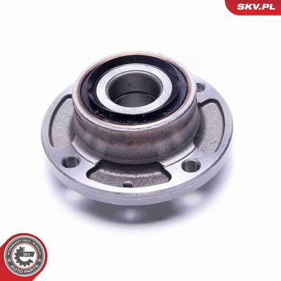 SET RULMENT ROATA ESEN SKV 29SKV448 2