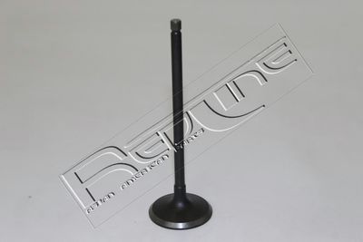 Впускной клапан RED-LINE 15DW010 для DAEWOO TICO