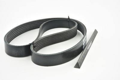 CUREA TRANSMISIE CU CANELURI FEBEST 881286L883 42