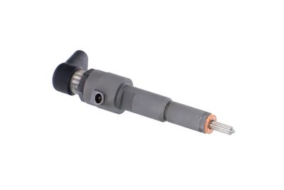 INJECTOR REMANTE 002003001356R 47
