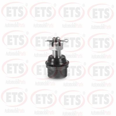 Шарнири ETS 73.BJ.482
