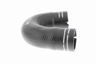 FURTUN EAR SUPRAALIMENTARE VAICO V240804 7