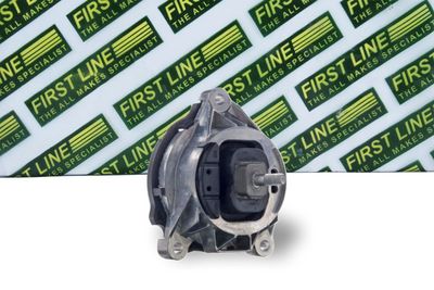 окачване, двигател FIRST LINE FEM4407