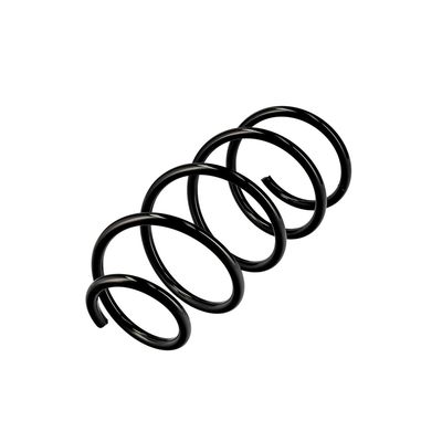 ARC SPIRAL EIBACH R10246 3