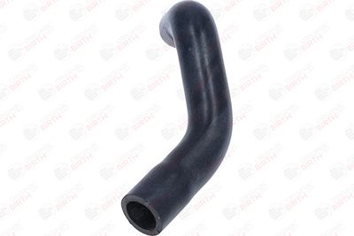 FURTUN ULEI BIRTH 56017 4