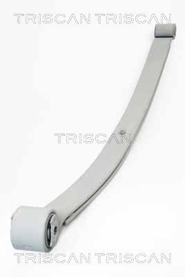 TRISCAN Federnpaket