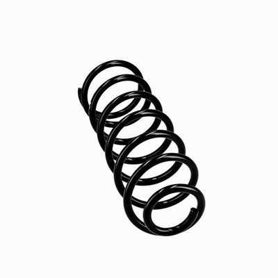 ARC SPIRAL EIBACH R10681 12