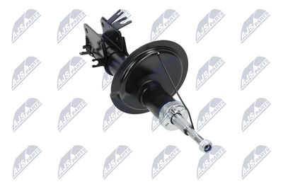 AMORTIZOR NTY ACT029 31