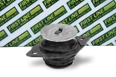 окачване, двигател FIRST LINE FEM3460