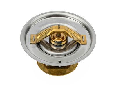Thermostaat koelsysteem