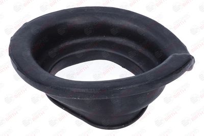 SAIBA ARC BIRTH 56745 8