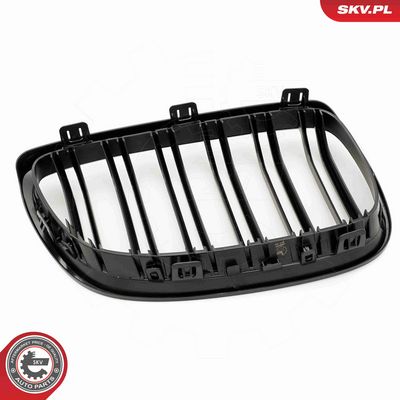 GRILA RADIATOR ESEN SKV 66SKV109 5