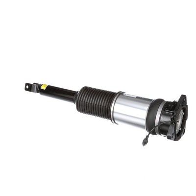 LUFTFEDERBEIN Arnott AS2959 42