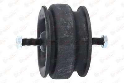 SUPORT MOTOR BIRTH 5527 4
