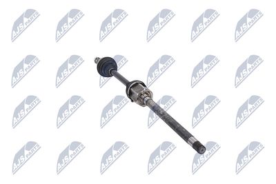 PLANETARA NTY NPWLR031 31