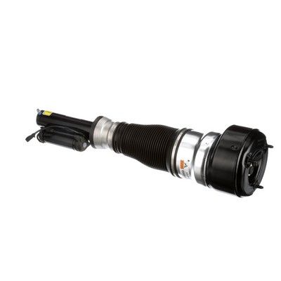 LUFTFEDERBEIN Arnott AS2540 30