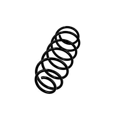 ARC SPIRAL EIBACH R10034 2