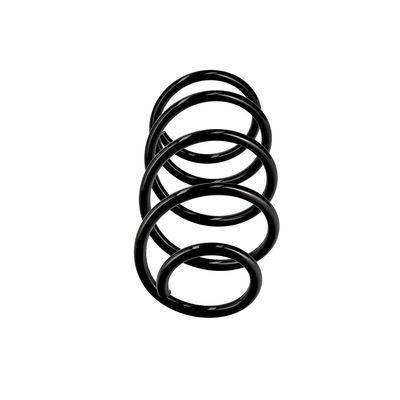 ARC SPIRAL EIBACH R10489 1