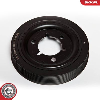 FULIE CUREA ARBORE COTIT ESEN SKV 95SKV310 2