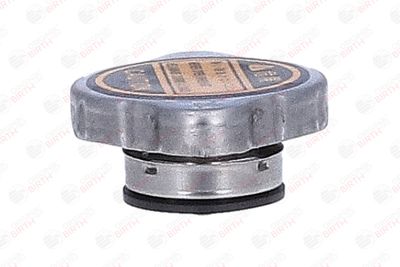 BUSON RADIATOR BIRTH 81184 4