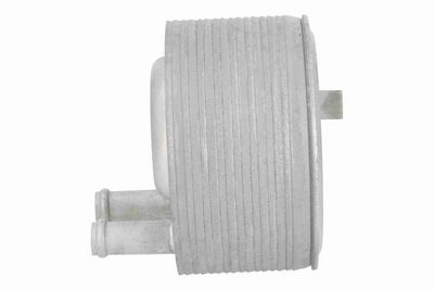 RADIATOR ULEI ULEI MOTOR ACKOJA A38600007 5