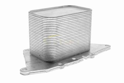 RADIATOR ULEI ULEI MOTOR VEMO V20601554 4