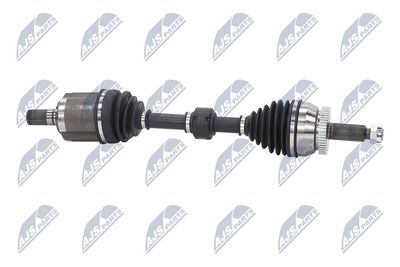 PLANETARA NTY NPWHY581 8