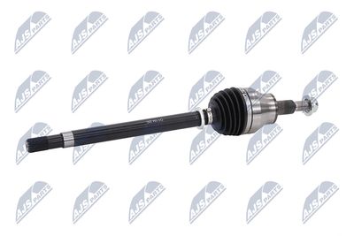 PLANETARA NTY NPWCH154 23