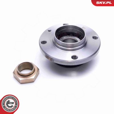 SET RULMENT ROATA ESEN SKV 29SKV448 1