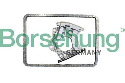 Sada rozvodového řetězu Borsehung B10244