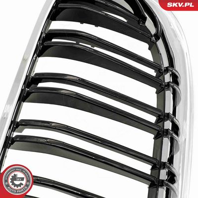 GRILA RADIATOR ESEN SKV 66SKV118 7