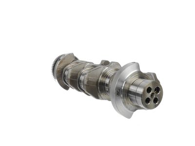 ARBORE COTIT ET ENGINETEAM HK0183 23