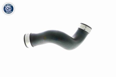 LADELUFTSCHLAUCH VAICO V102902 5