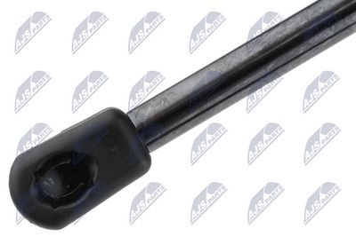 AMORTIZOR GAZ PAVILION NTY AEBM153 1