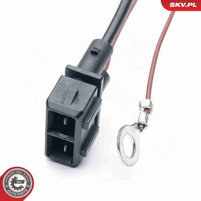 SONDA LAMBDA ESEN SKV 09SKV523 2