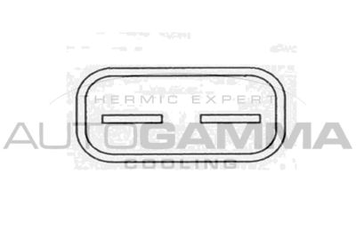 Вентилятор, охлаждение двигателя AUTOGAMMA GA220636 для FIAT 500L