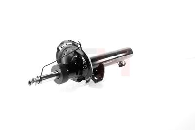 AMORTIZOR GH GH359934 6